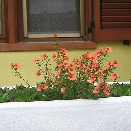Apartment Meridiana Rovinj Luaran gambar