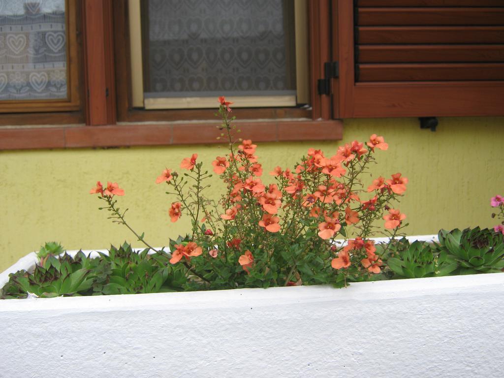 Apartment Meridiana Rovinj Luaran gambar